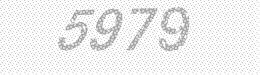 Visual security code — type the characters shown in the image